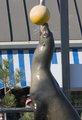 lo_zoo_MG_6510.jpg