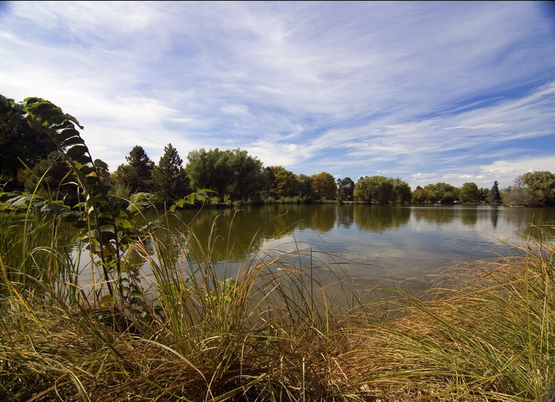 Wash Park