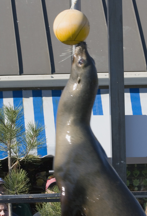 lo_zoo_MG_6510.jpg