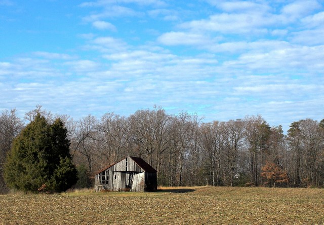 main-12-27-07-5104.jpg