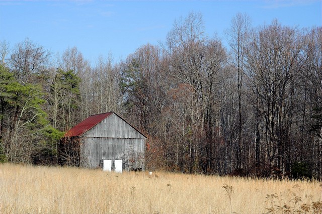 main-12-27-07-5106.jpg