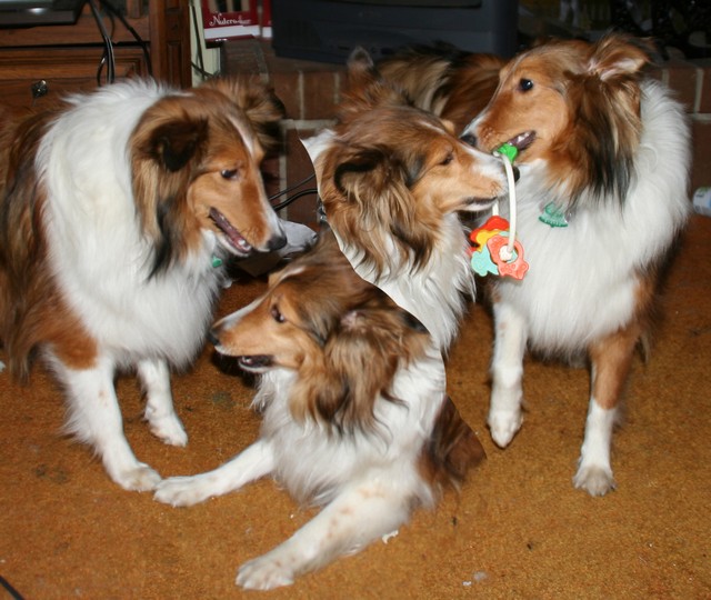 main-multi test 3 01-01-07.jpg
