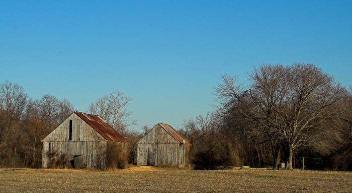 main-01-21-08-5348.jpg