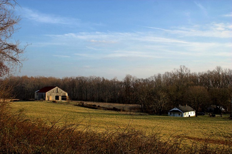 main-02-25-08-5551.jpg