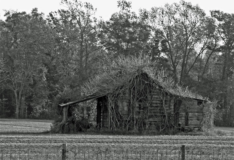 This Old House