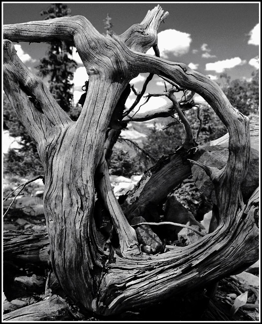 Natural Frame - D