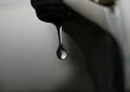 Drip