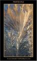 Ice Formation on window 2