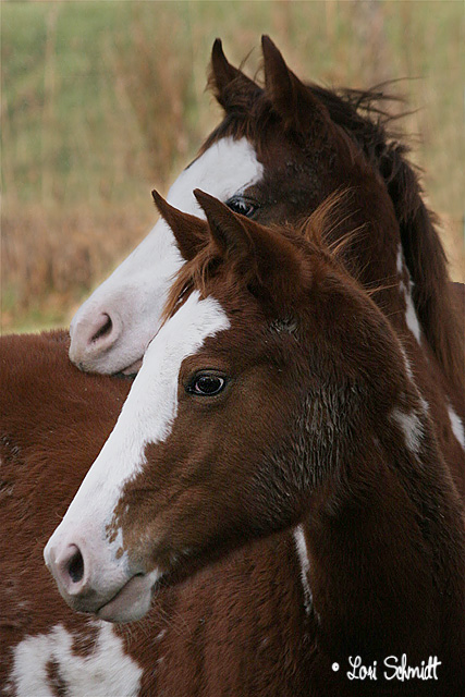Sisters