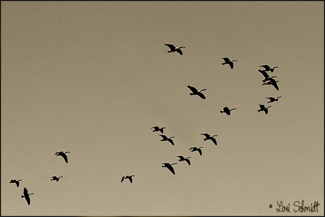 Day 7 - B&W September 2007
