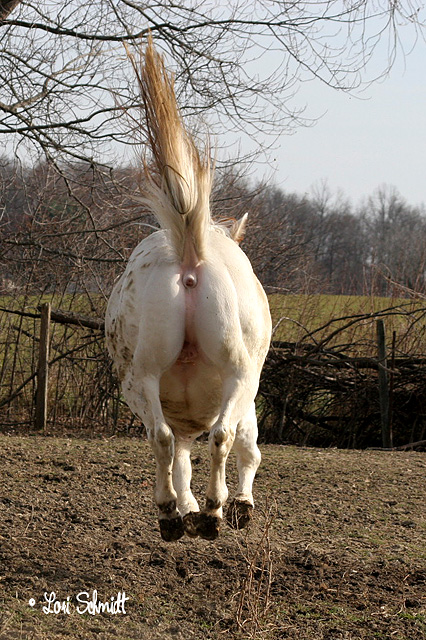 Backend Of My Business
