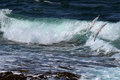 Gulls and waves