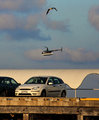 car, chopper & gull