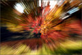 Dash of Autumn