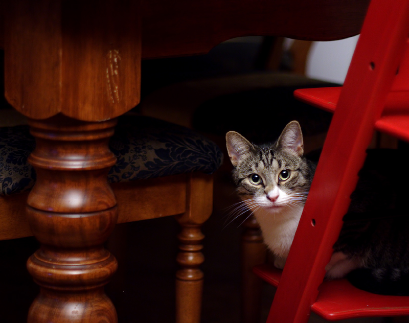 Tai Lung on the red chair
