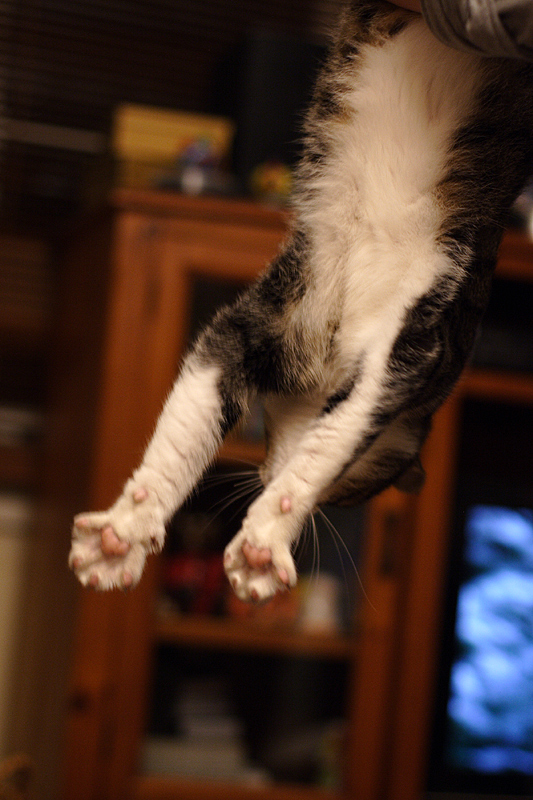 Falling