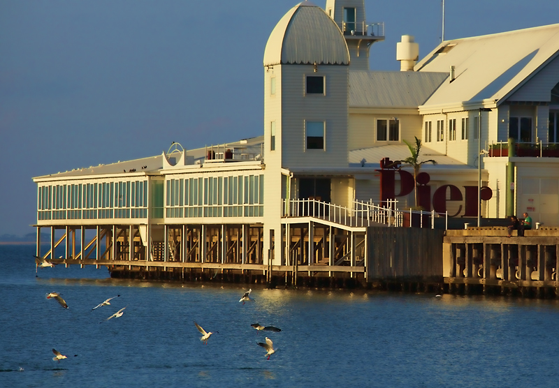 Cunningham Pier and gulls