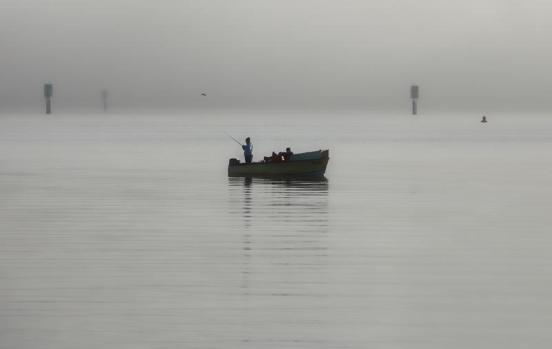 fishing in the mist