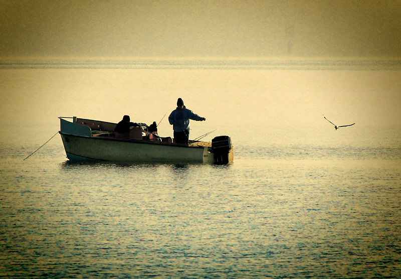 fishermen and the gull