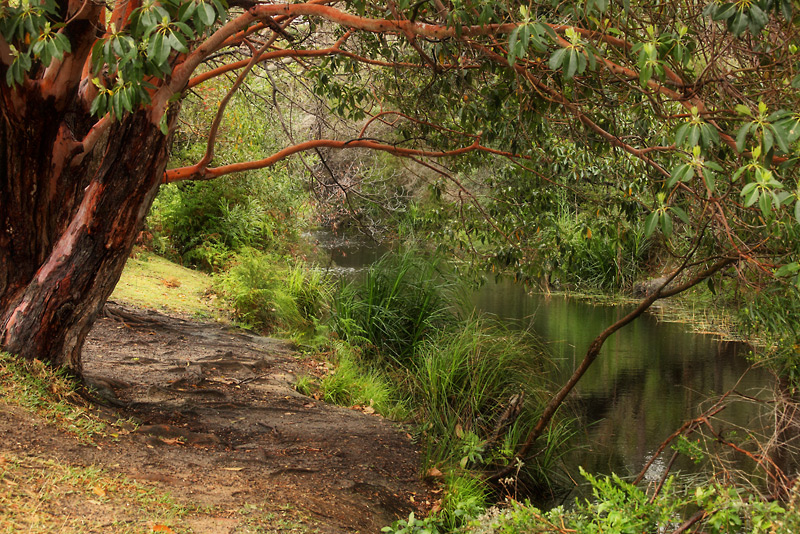 hidden creek