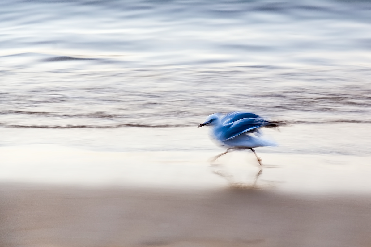 beach runner