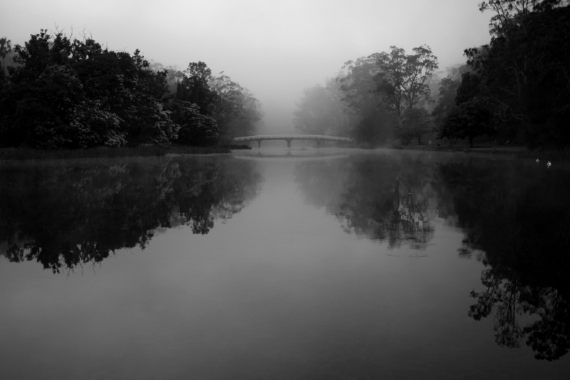 Audley in Mist.jpg