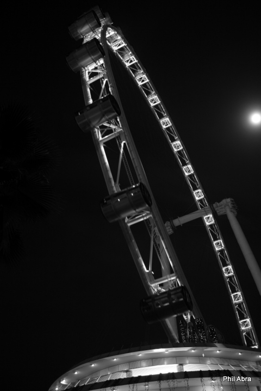 Flyer by Moonlight.jpg