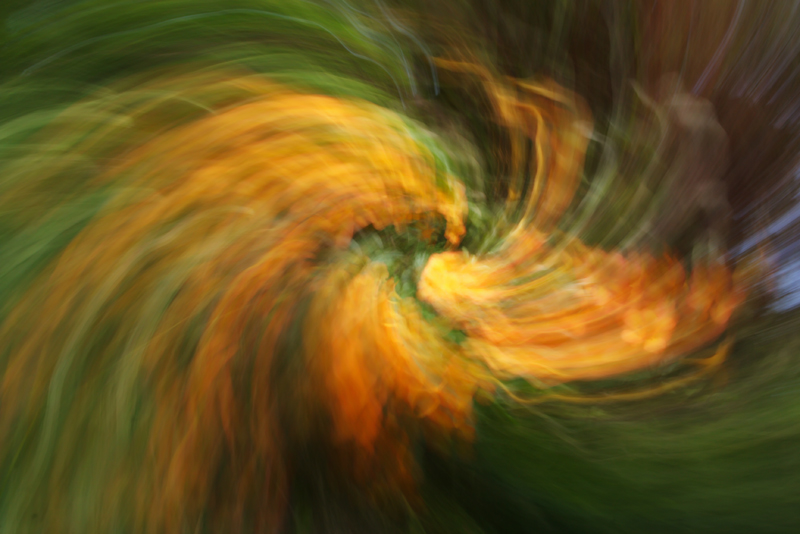 Orange swirl