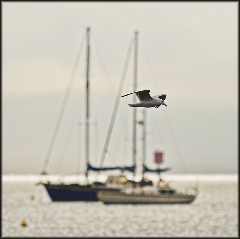 Sailing by
