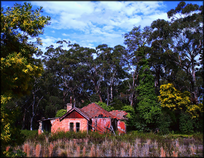Renovator's dream