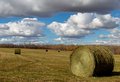 Hay Bales