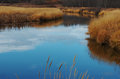 River Glass Ripples 2