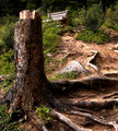 Viewpoint Rest