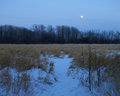 Moonrise