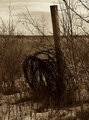 Rusty Wire