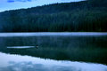Misty Loon
