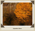 September Colour