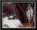 Winter Trail
