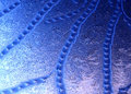 Window Frost