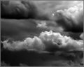 Hunter in the Storm