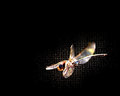 Hover Space