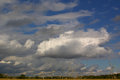 Cotton Puff Sky