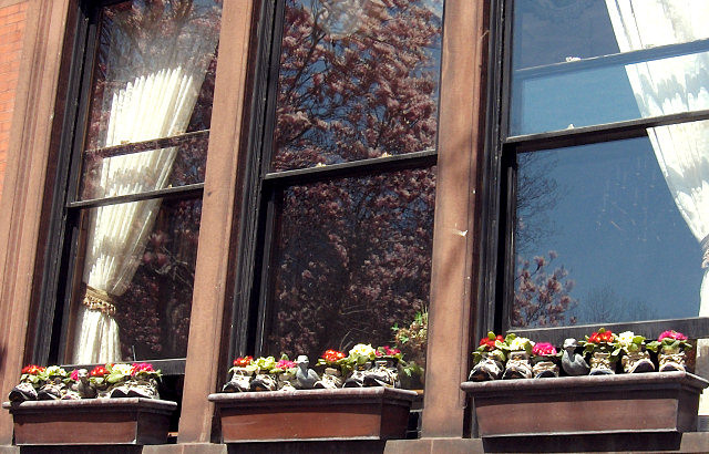 Shoes as Planters