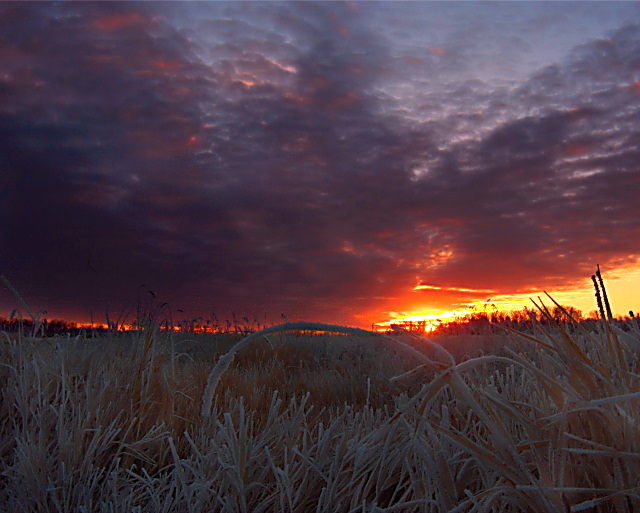 Winter Dawn