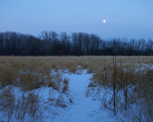 Moonrise