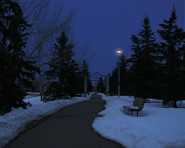 Red Willow Trail