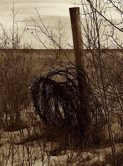 Rusty Wire