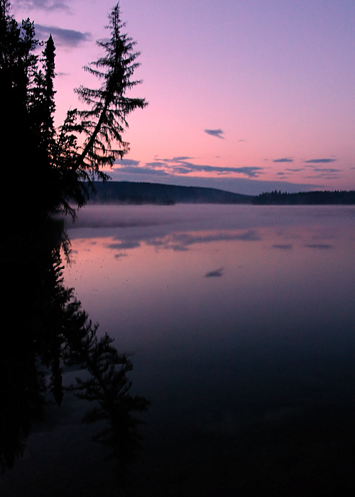 Serenity Mist