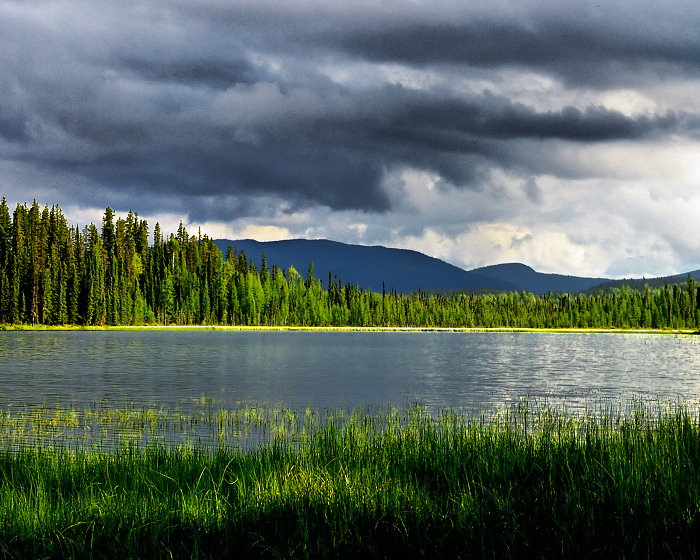 Between Storms