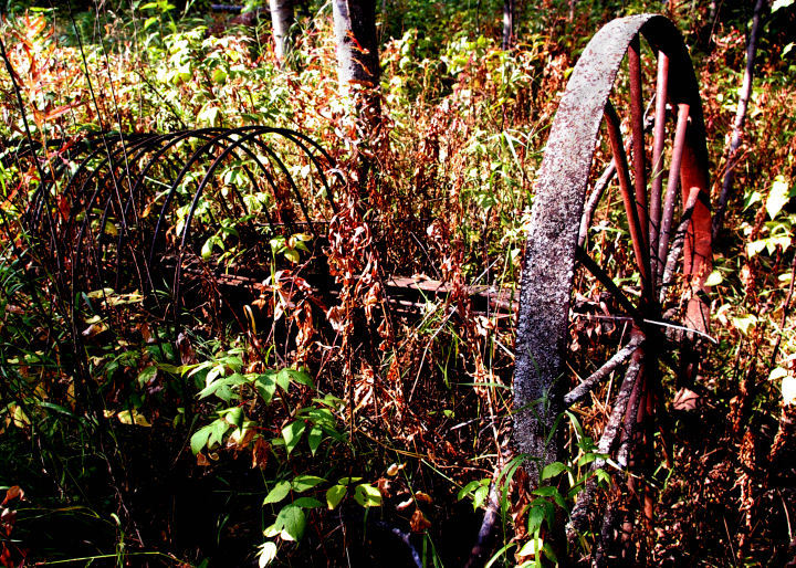 Abandoned